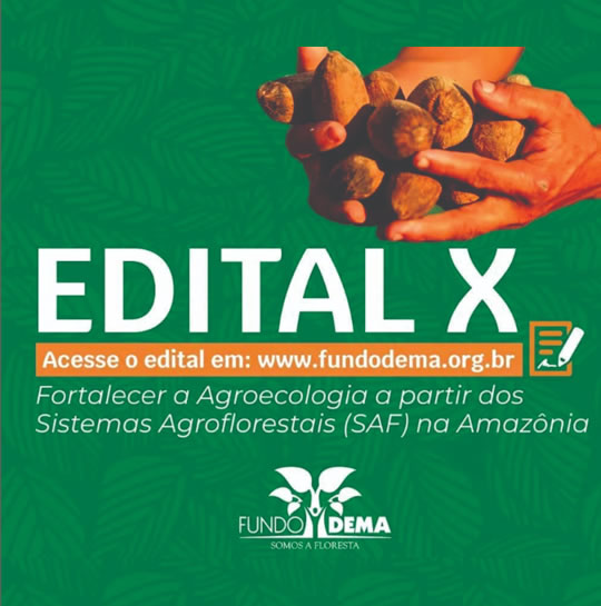 Edital X ‘Fortalecer a Agroecologia a partir dos Sistemas Agroflorestais (SAF) na Amazônia’