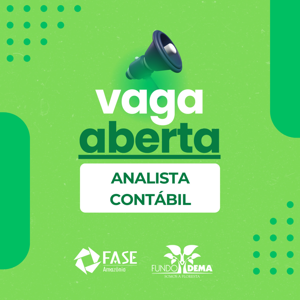 FASE/Fundo Dema contratam Analista Contábil